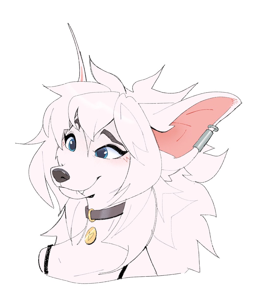 LemonCoyotes's tweet image. Uploading this cutie on her own, was happy with how this came out
Headshot for @/Demolexical !
