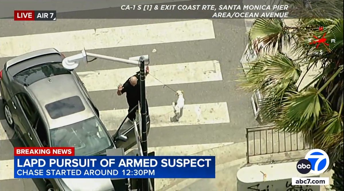 SteveAWilliamsX's tweet image. LAPD in full pursuit of an armed suspect…

He hops out — armed with Fido.🐶

Lays flat. Fido takes a leak.

Only in L.A.!