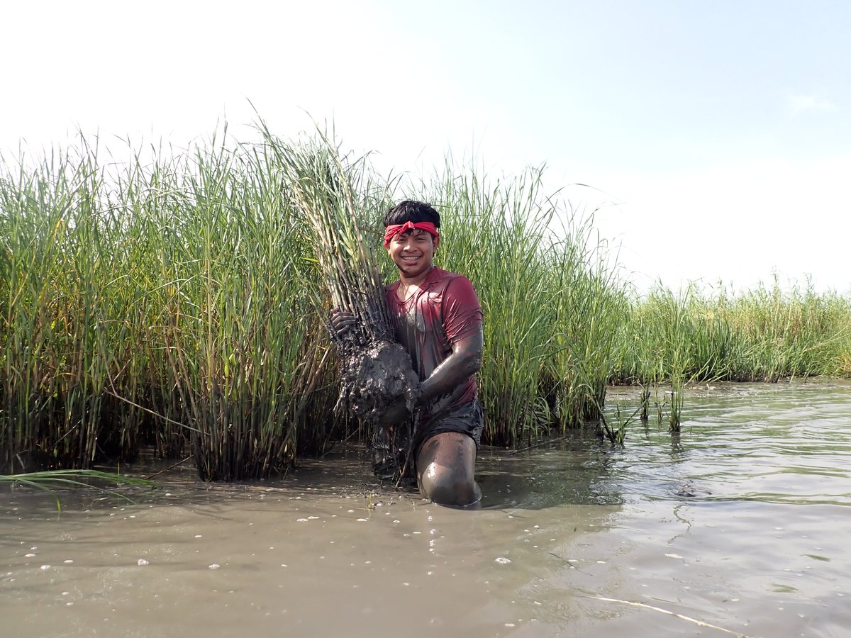 LSUAgCenter's tweet image. Throughout July, Louisiana 4-H groups spend a week at Marsh Maneuvers camp, a hands-on educational program that teaches 4-H’ers about coastal ecology and restoration.
