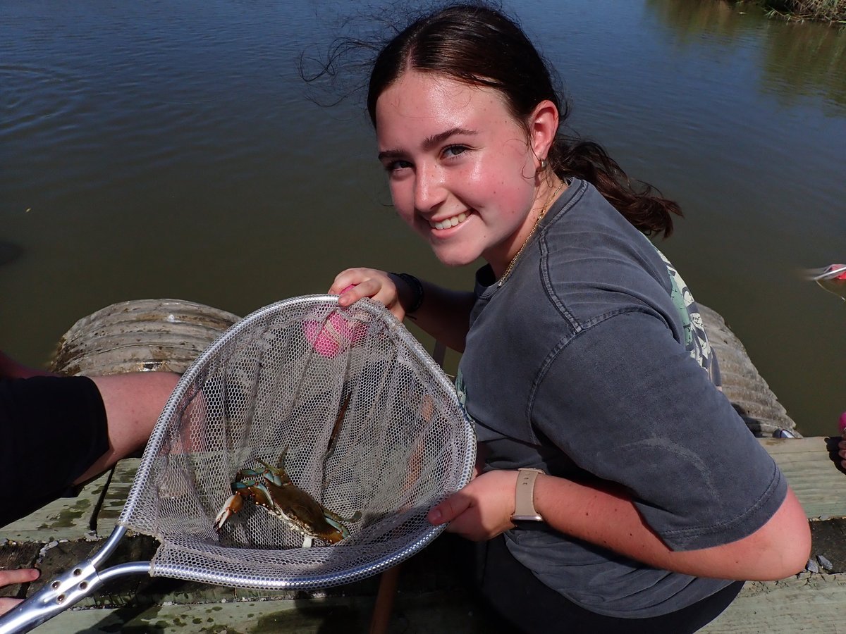 LSUAgCenter's tweet image. Throughout July, Louisiana 4-H groups spend a week at Marsh Maneuvers camp, a hands-on educational program that teaches 4-H’ers about coastal ecology and restoration.