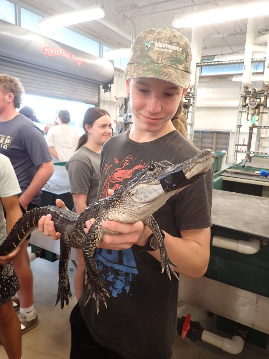 LSUAgCenter's tweet image. Throughout July, Louisiana 4-H groups spend a week at Marsh Maneuvers camp, a hands-on educational program that teaches 4-H’ers about coastal ecology and restoration.