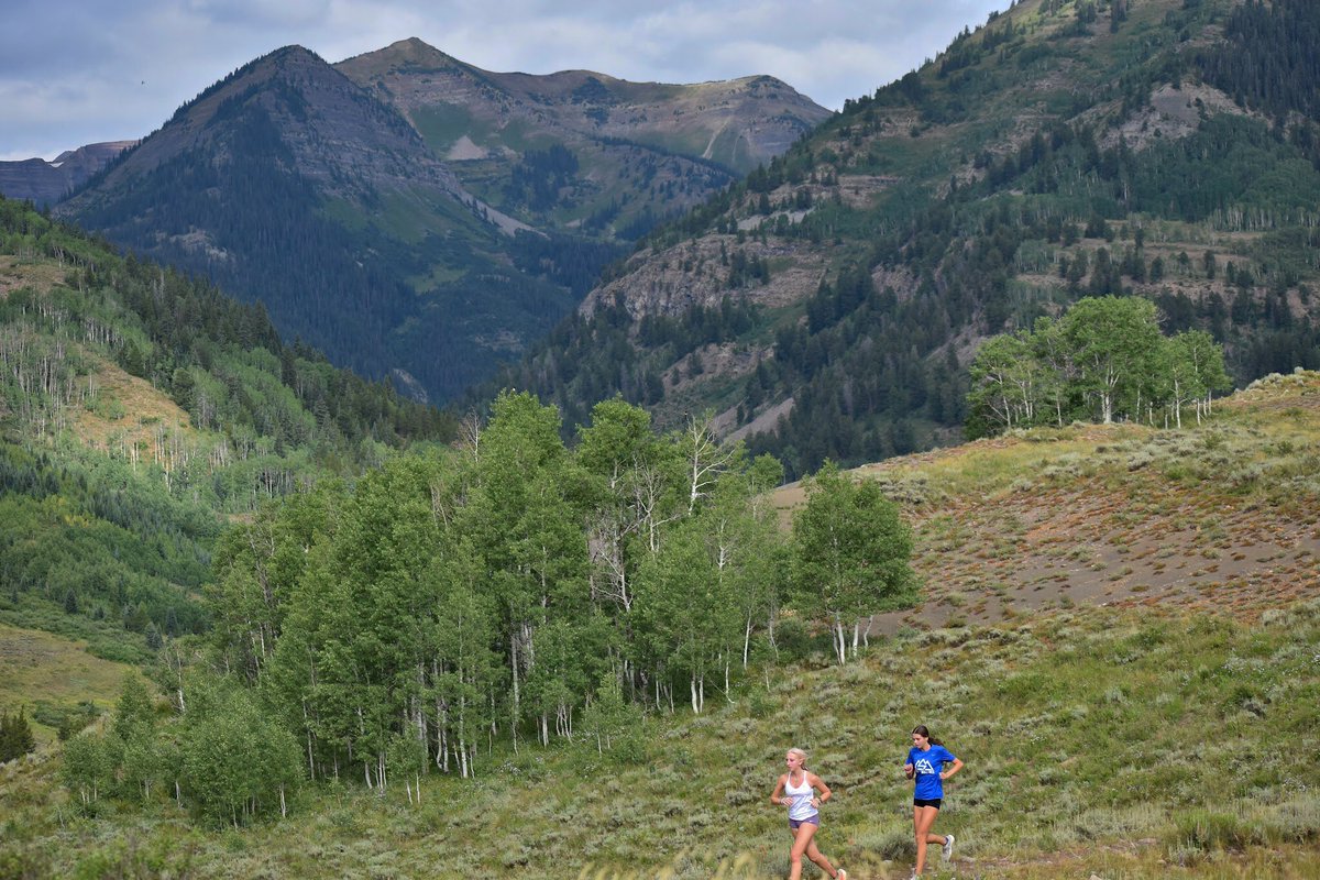 SouthRunning tweet media