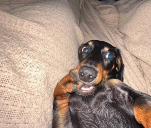 _fariaks's tweet image. e se eu alugasse um sitiozinho pra comemorar meu aniversário