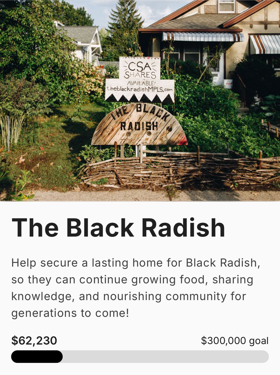 aurinmpls's tweet image. Join me in supporting Ward 12’s,The Black Radish— they are a local urban farm transforming front yards into flourishing gardens to address food insecurity by donating fresh food throughout the city.
Donate to them to secure land for future farming: bit.ly/44eFBic