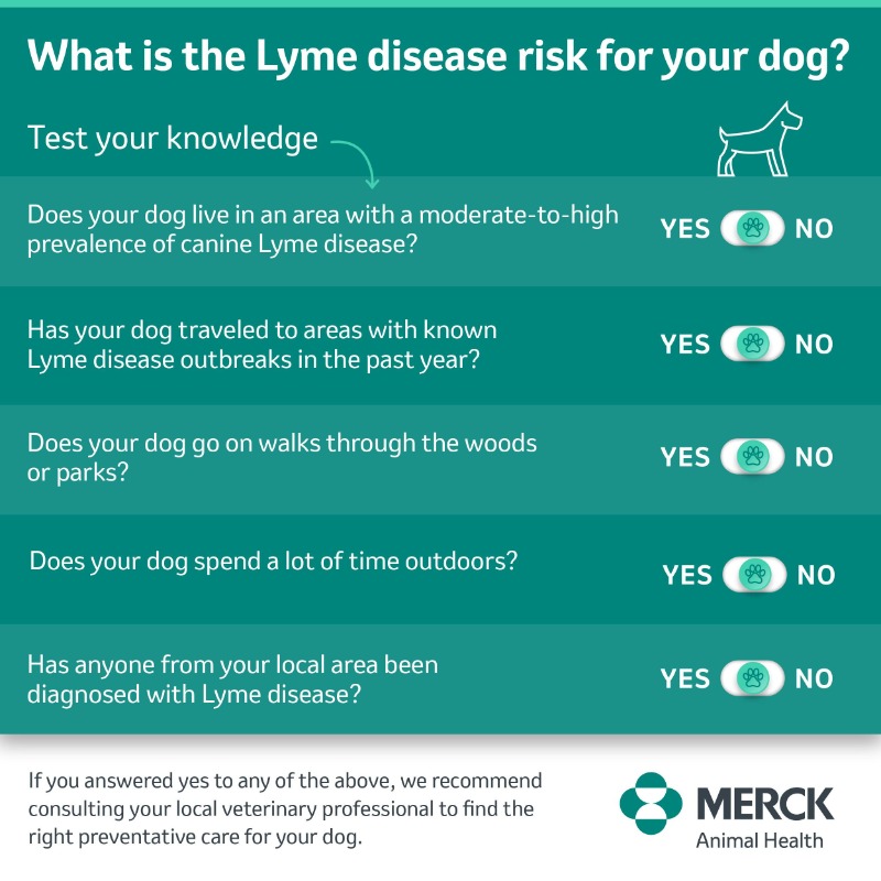MerckAH's tweet image. We’re shining a light on education and prevention. Lyme disease is becoming increasingly prevalent in various regions, with tick populations expanding into areas previously considered lower risk.