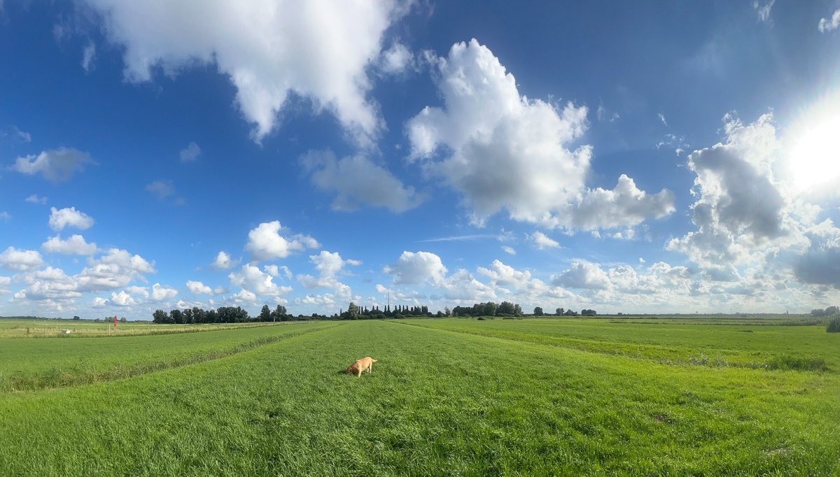ronaldvanzijl's tweet image. 22/07/2025 – NL – Skyscapes
18:30 h
It was a lovely day
@Demo2020cracy @Elizabe32413720 @TexMericana @Raggedyedge1 @DELTA9_DELTA9 @BenKnight1980 @druid10 @IonisedSkyWatch @Clearskiesinit @SaskiaHeijden @ImagesCoast @OpChemtrails @Chemtrail101 @LegendreKristy @nogps1 @b_gimpl1234