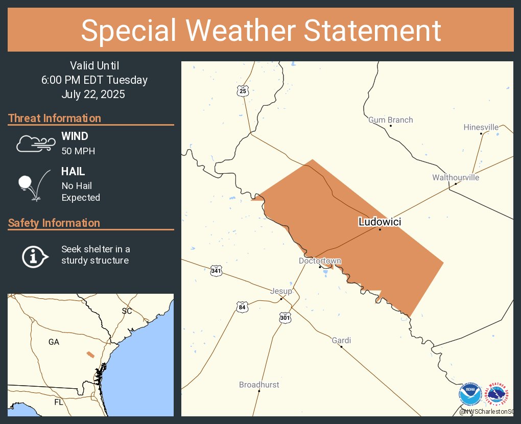 NWSCharlestonSC's tweet image. A special weather statement has been issued for Ludowici GA until 6:00 PM EDT