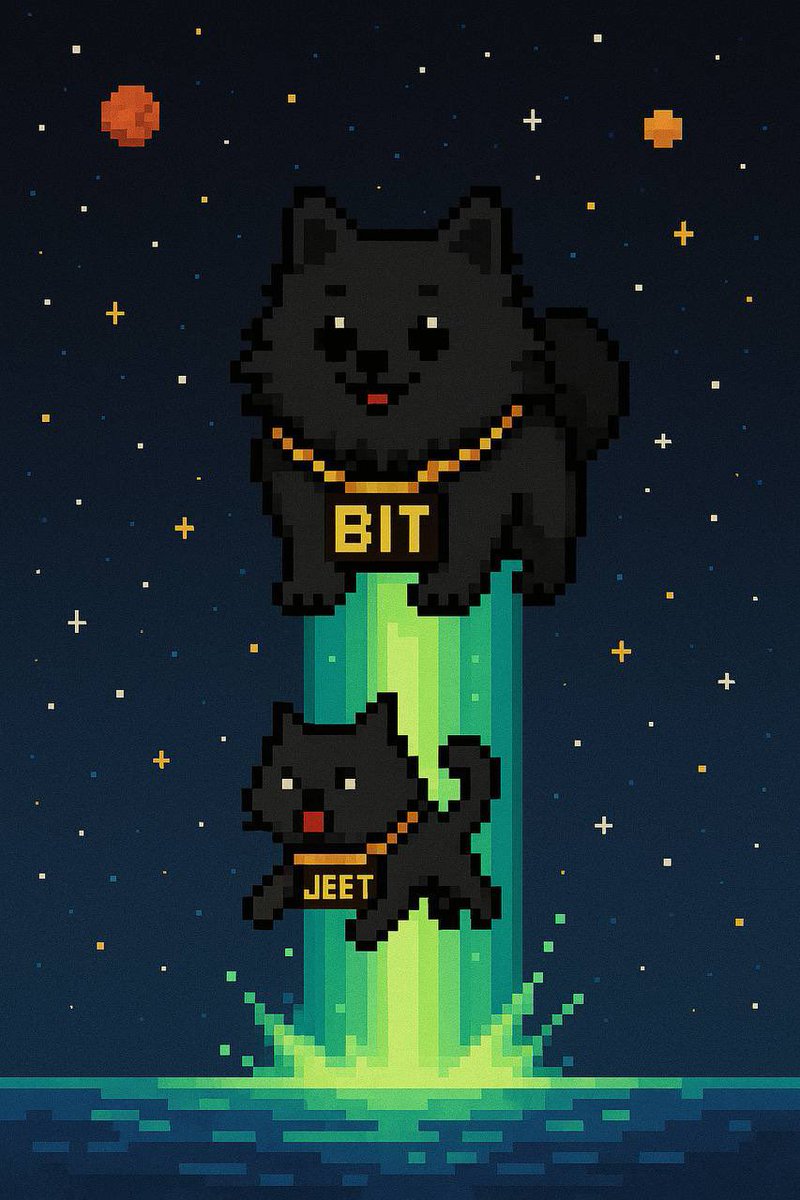 BITDOGxrp's tweet image. Jeets letting priced out, then we take off!!!
$BITDOG is going to space with or without you!