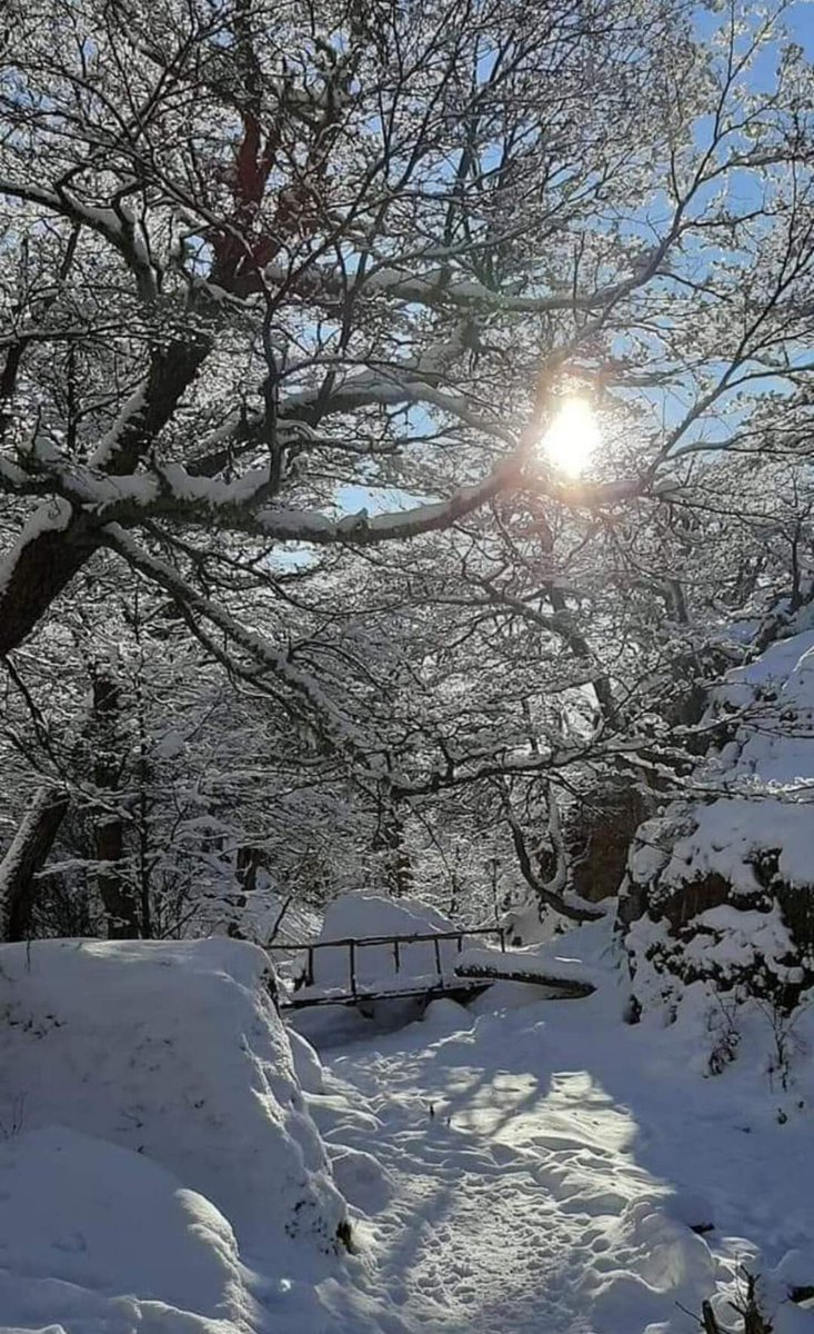 turisargentina's tweet image. Invierno en Río Turbio 🥶❄️☃️💙🇦🇷
Hermosas fotos de Walter Gómez