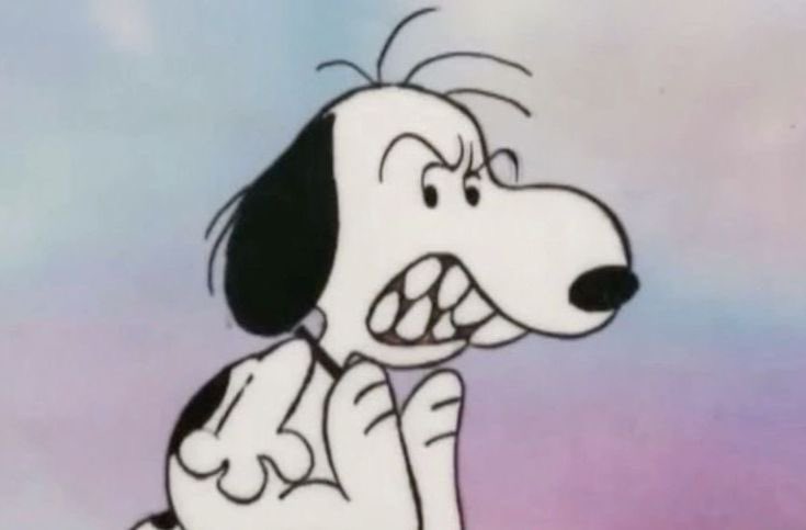 snoopy posters (@snoomfies) on Twitter photo 