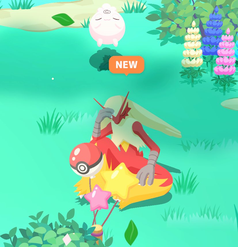 ue_pokesle's tweet image. #ポケスリ2周年をいっしょに 
おはようございます
バシャーモがいました！
カメックスさんはホウエン組におなかのうえ譲って？

フライゴンが出るようで！もしかしてメガシンカするのかな
