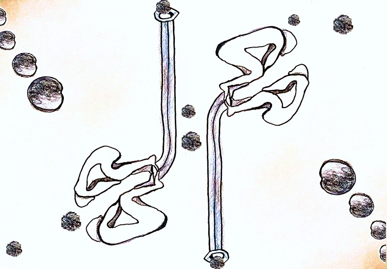 rwillowfish's tweet image. Coping with mental illness can be an exercise in finding balance in undefined spaces while accomodating parts of oneself.