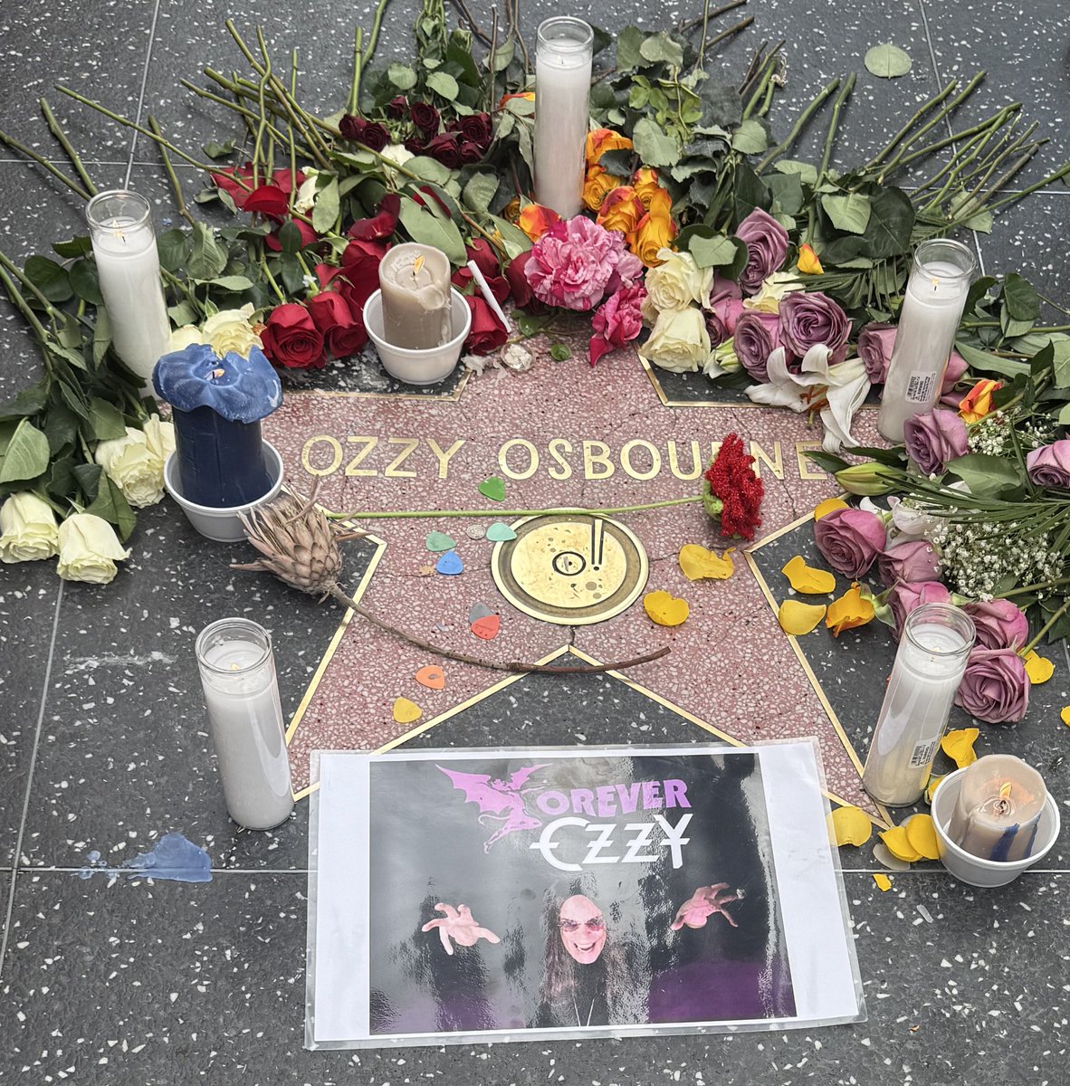 Jonathan Kearsley (@jekearsley) on Twitter photo Tributes growing for Ozzy Osbourne at his star on Hollywood’s Walk of Fame <a href="/9NewsAUS/">9News Australia</a> <a href="/TheTodayShow/">The Today Show</a> Tributes growing for Ozzy Osbourne at his star on Hollywood’s Walk of Fame <a href="/9NewsAUS/">9News Australia</a> <a href="/TheTodayShow/">The Today Show</a>