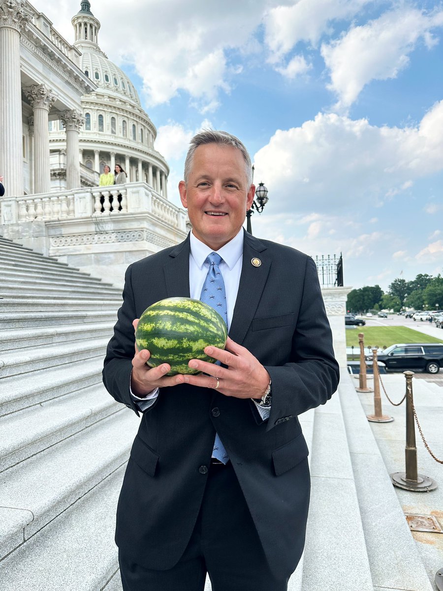 RepWesterman's tweet image. You can’t quite compare the watermelons in Hope, Arkansas, to the ones you find up here in Washington D.C., but my office had to celebrate National Watermelon Month somehow!