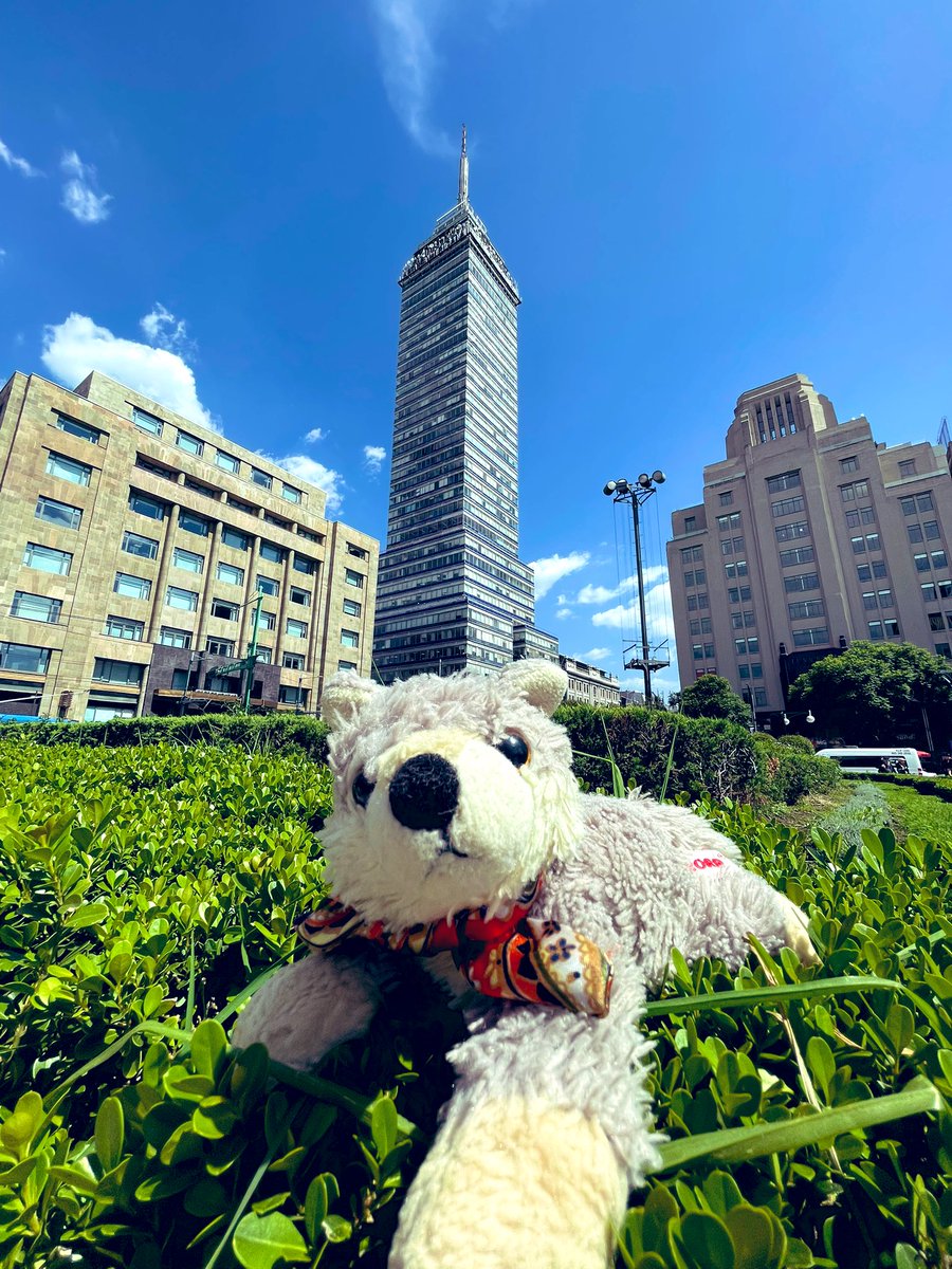 Choko Wonzález tweet media