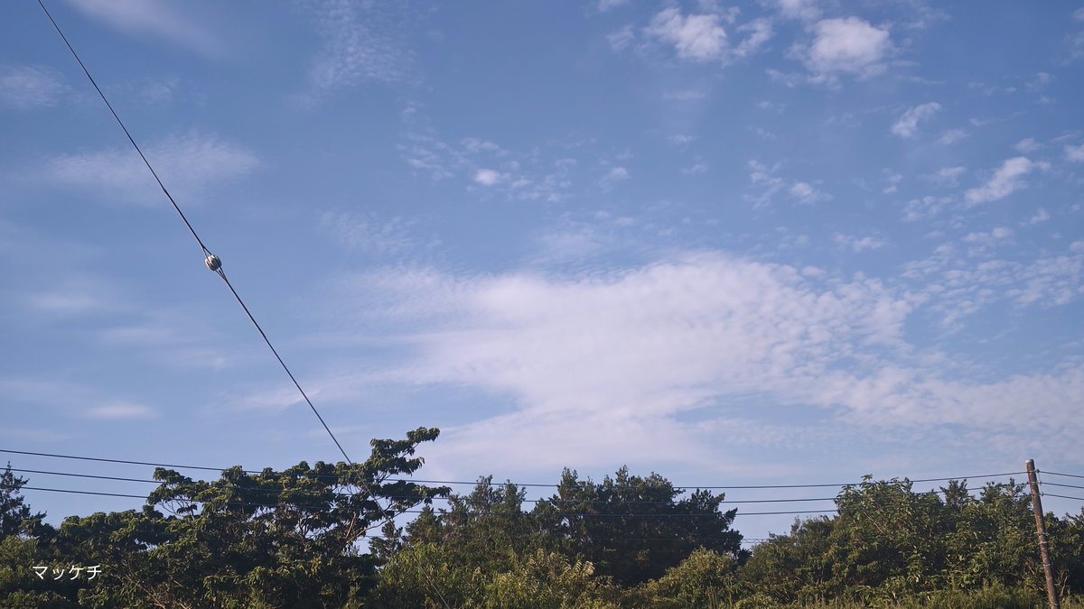 makomofu5170's tweet image. おはようございます
今朝も青空が広がっています
昨日は帰宅後暑さでぐったりし
暫く動けませんでしたが大丈夫です
この時期は早く寝て体力を回復させる事が大事ですね
今日も宜しくお願い致します
良い一日をお過ごし下さい🎵