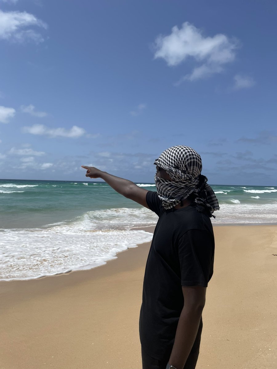 Hoxygene tweet media