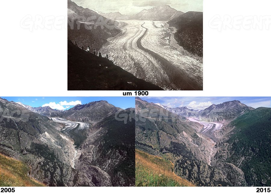 subfossilguy's tweet image. The tongue of the largest glacier in the Alps from Belalp tonight (6:20 pm)! 😍
Anytime soon the front will not be visible anymore from this famous belvedere... 😰
🙏 @ABettmeralp for today's pic and comparison!