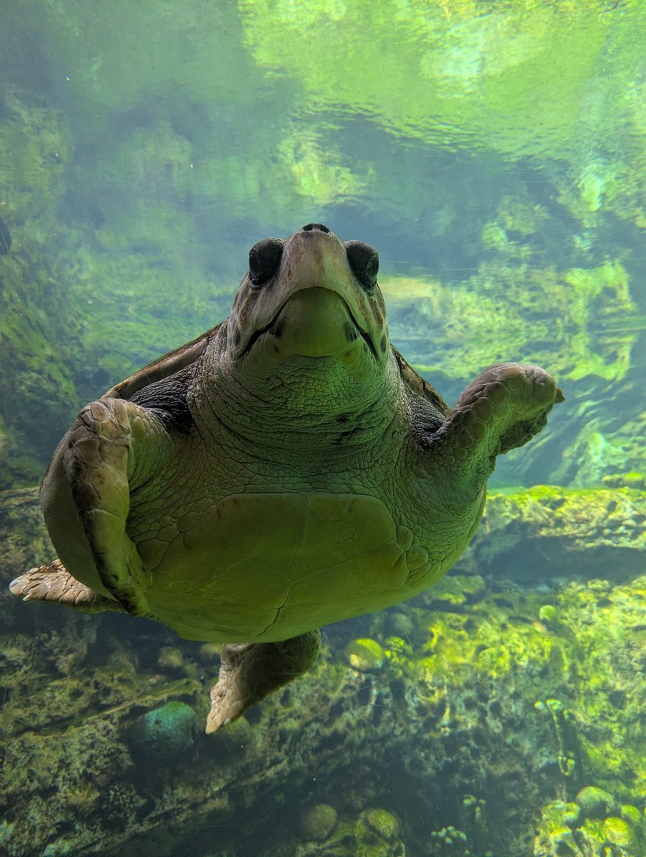 Found a friend in Orlando #lifegoalsnottocare