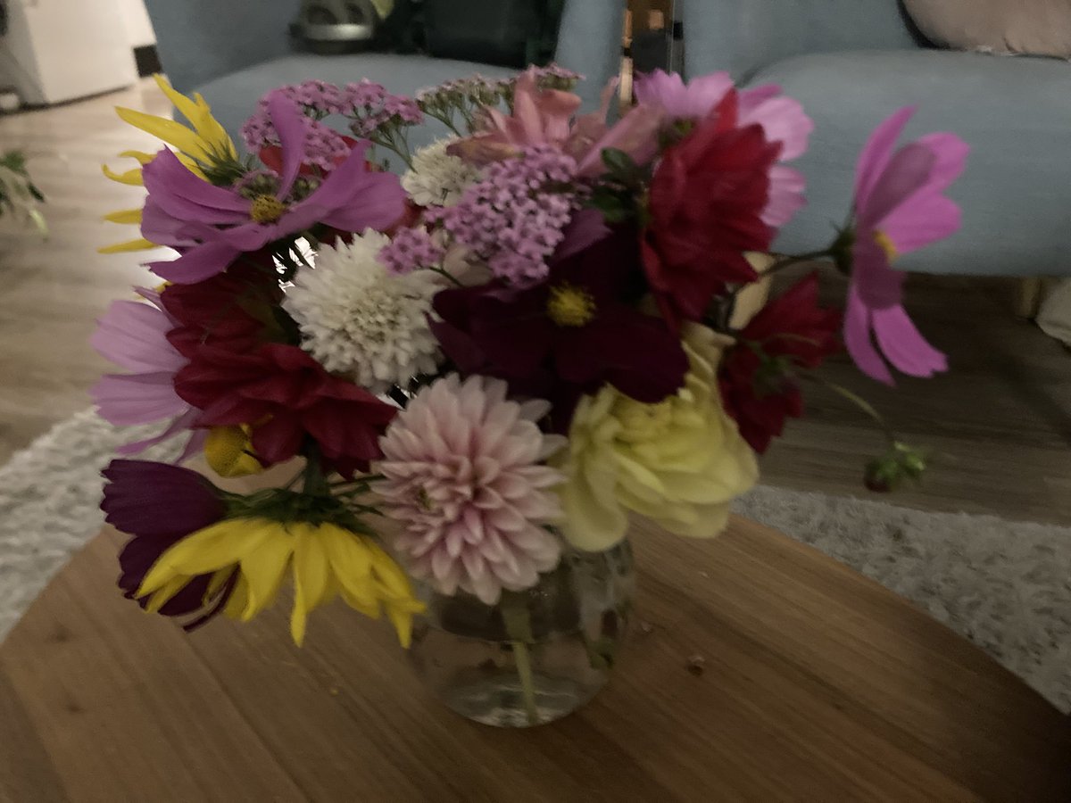 Mariska Oosterhuis tweet media