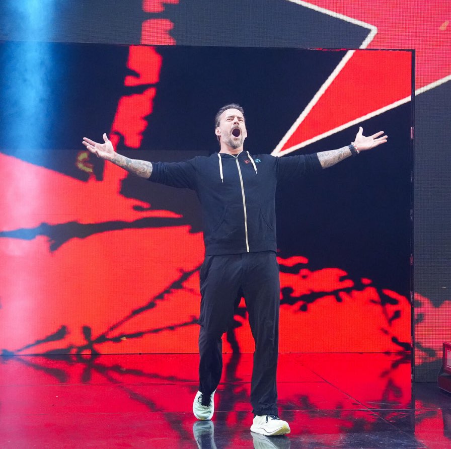 Summer Of Punk. ༯ not @/CMPunk tweet media