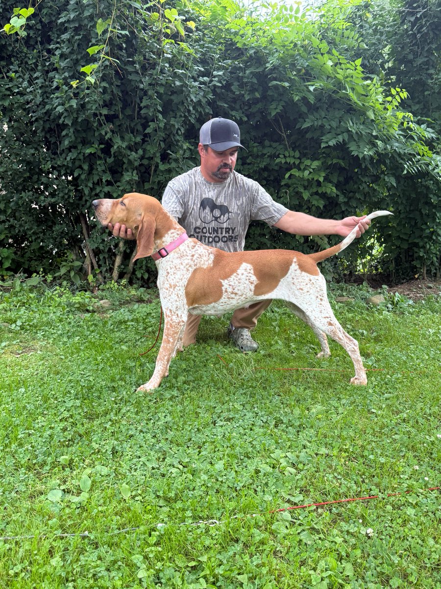 Where’s all them good lookin coon dogs at out there?!!!