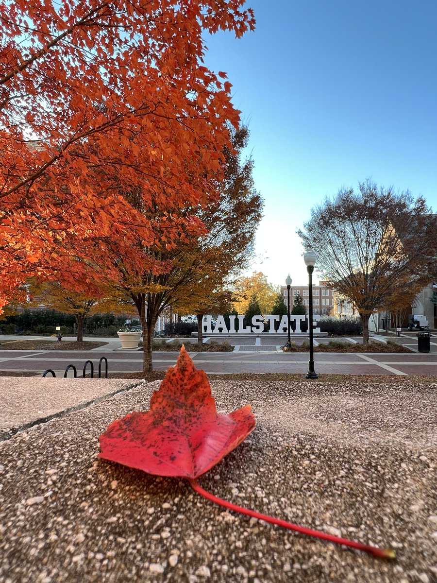 MSStateAlumni's tweet image. We're not sure who needs to hear this, but fall is coming. 🍂