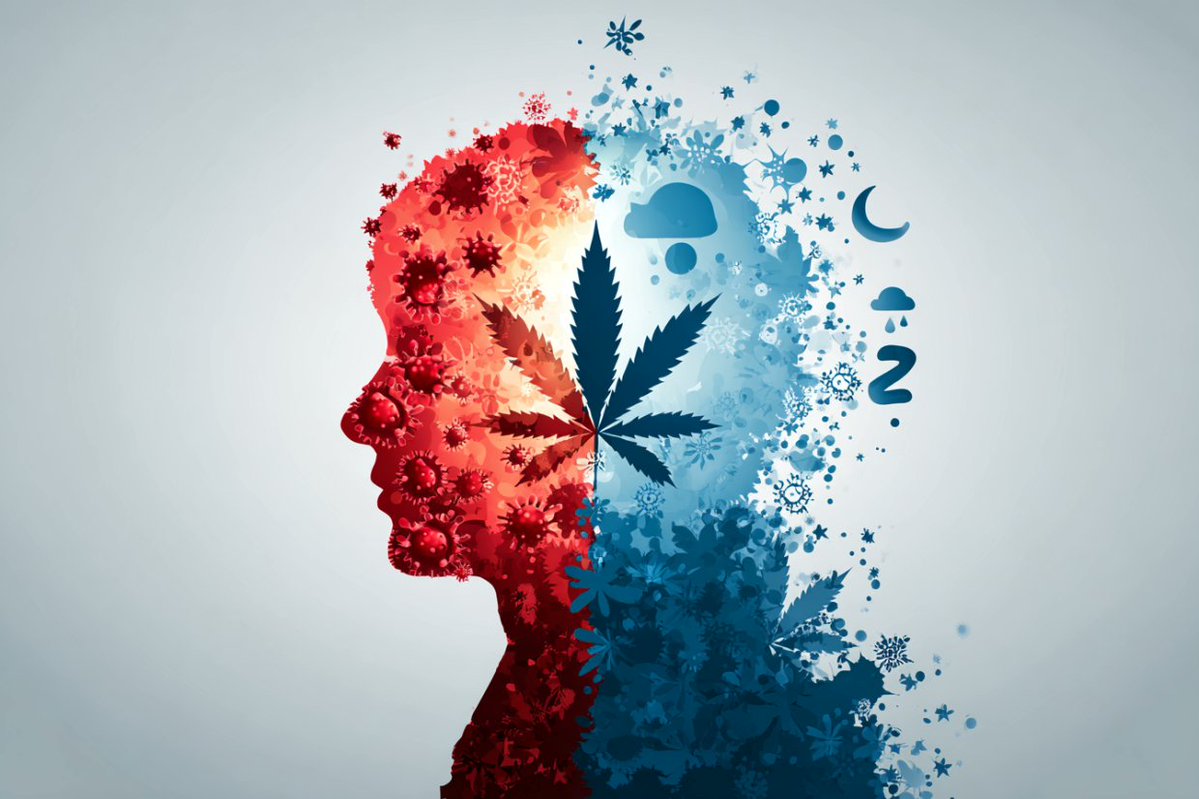 NeuroscienceNew's tweet image. Inflammation Influences Cannabis’s Effects on Anxiety and Sleep
A new study reveals that a person’s baseline inflammation influences how effectively cannabis improves anxiety and sleep.
Over four weeks, individuals with mild to severe anxiety used different cannabis chemovars,…