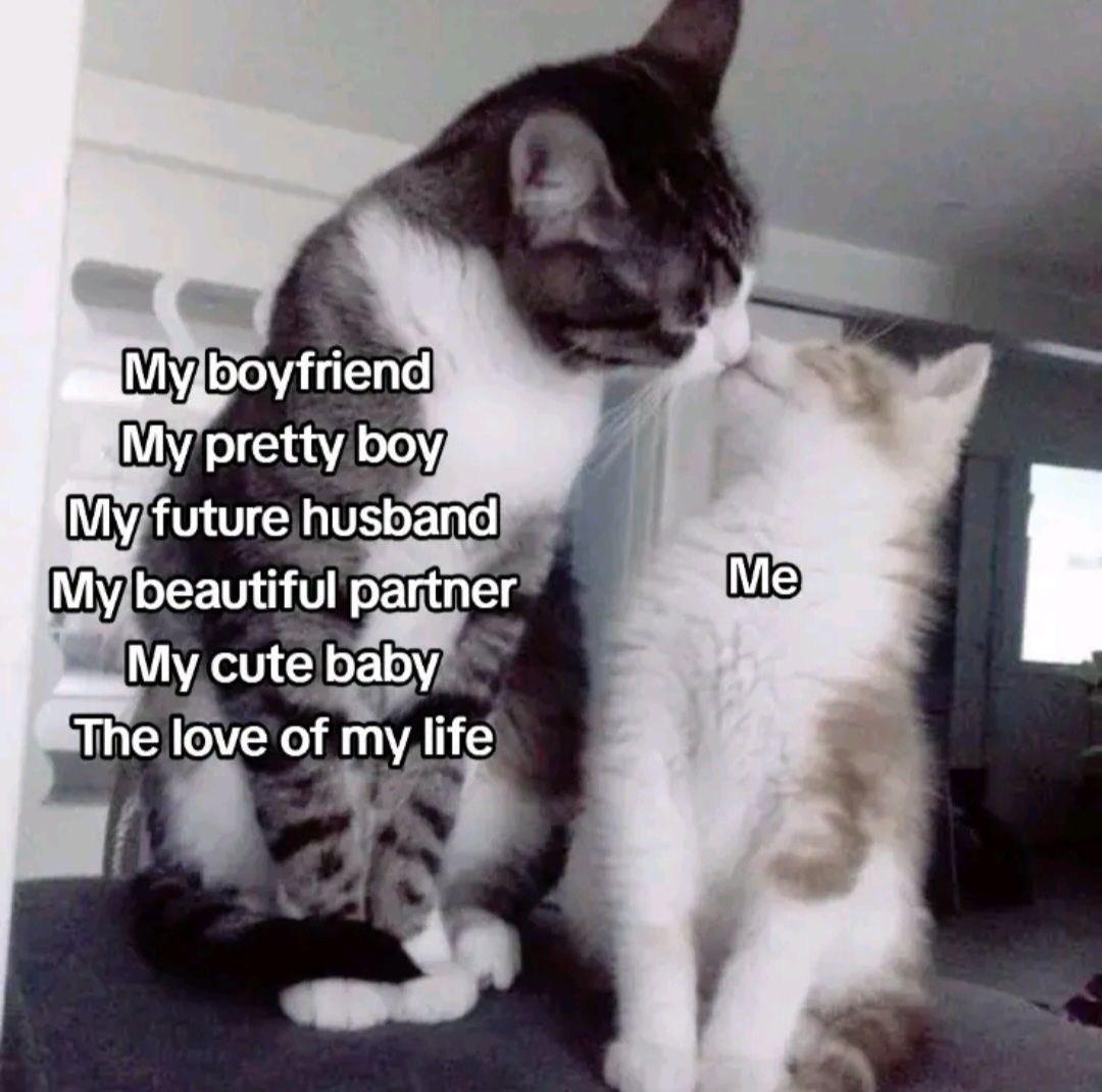 astralbaes's tweet image. 