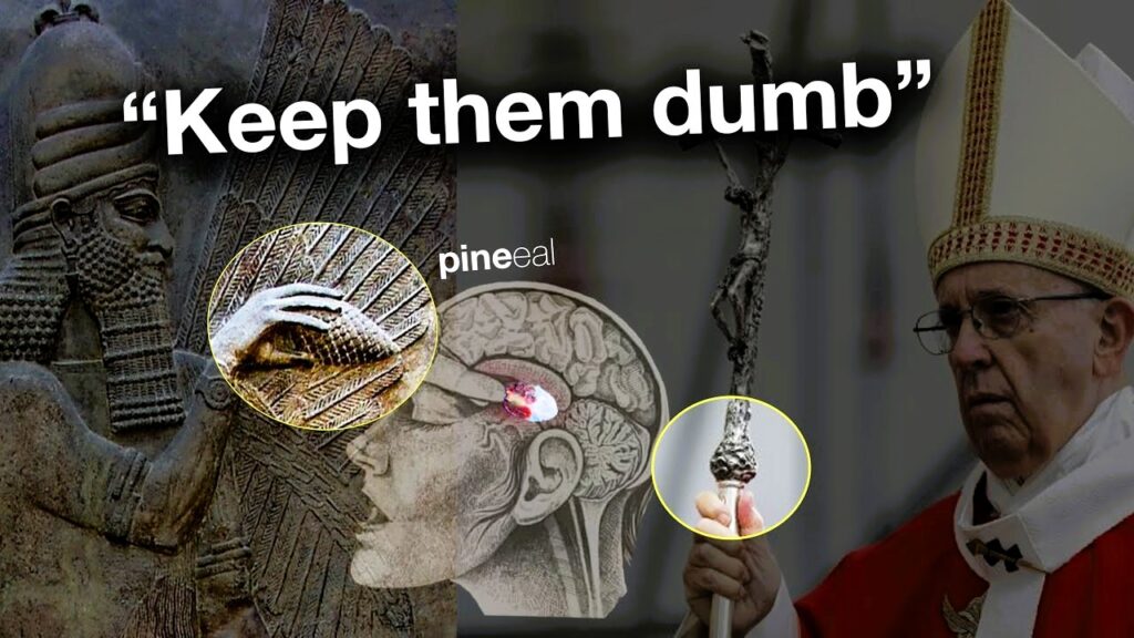 GreereMedeea's tweet image. 🚨 CALCIFY THEM! THE VATICAN’S TERRIFYING SECRET TO DESTROY YOUR THIRD EYE AND CONTROL YOUR MIND “CALCIFY THEM!” (this is quite scary video)
The Vatican is HIDING the truth about your third eye! Your pineal gland is under ATTACK—poisoned by fluoride, heavy metals, and lies.…