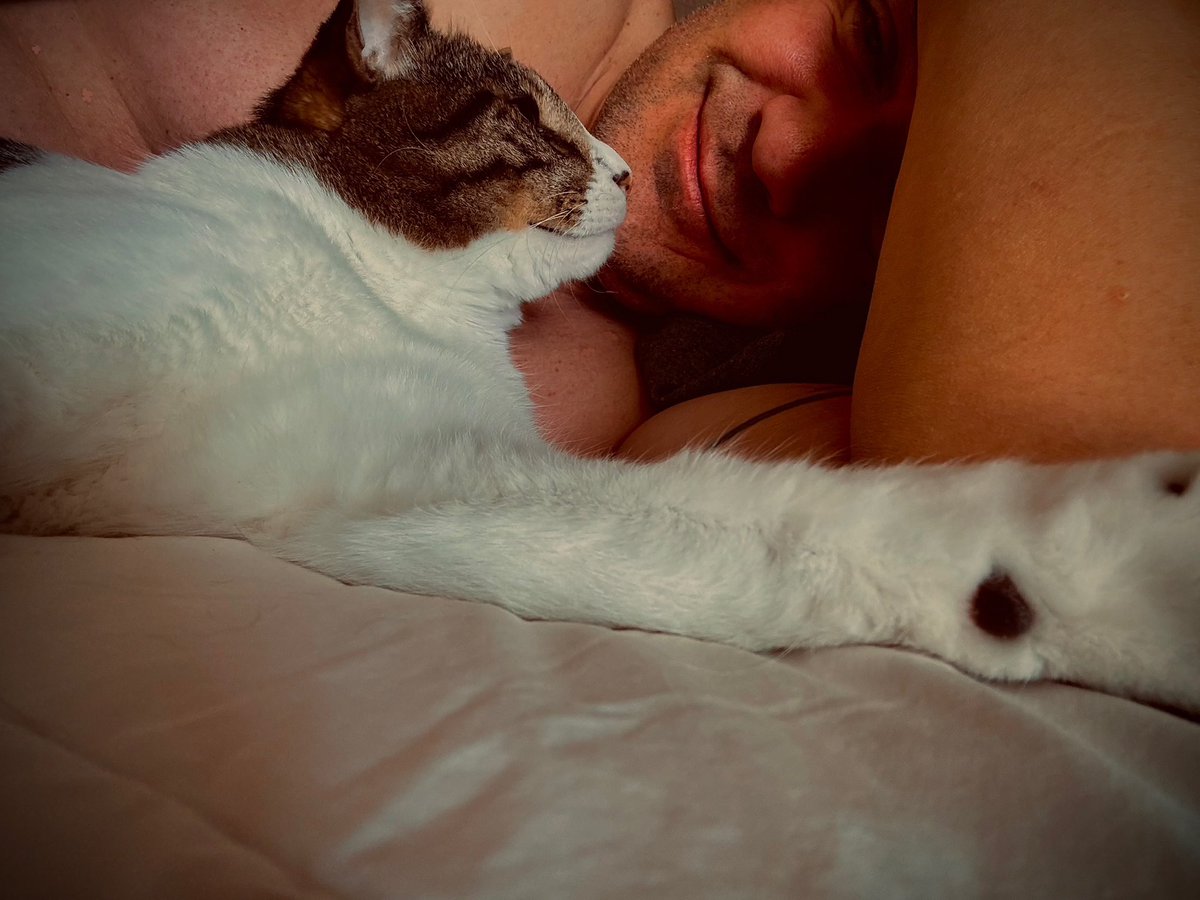 BryanDMcNally's tweet image. Not to brag but after taking a shower and working outside all day I took a cat nap and it was pretty awesome!
Pepper and Oreo said I did a good job lol