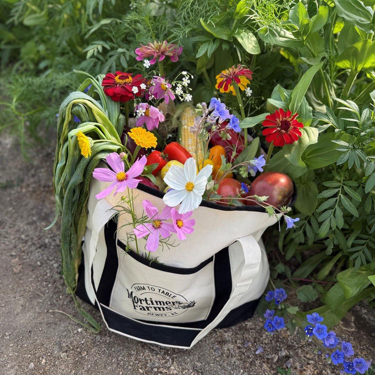 Arizona Farm Bureau (@azfb) on Twitter photo Extending some #Farmfresh love from our farms to you, something our farmers and ranchers do every day! (Photo courtesy Ashlee Mortimer of Mortimer Farms!) Extending some #Farmfresh love from our farms to you, something our farmers and ranchers do every day! (Photo courtesy Ashlee Mortimer of Mortimer Farms!)