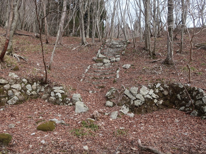 japan_mine_res's tweet photo. 御池鉱山の金山神社跡です。鉱山の神様である金山彦神を祀った神社の跡で、階段の上には社殿の基礎が残ります。

#いま訪ねるべき日本の鉱山跡30 https://t.co/YPVGhMIT3B