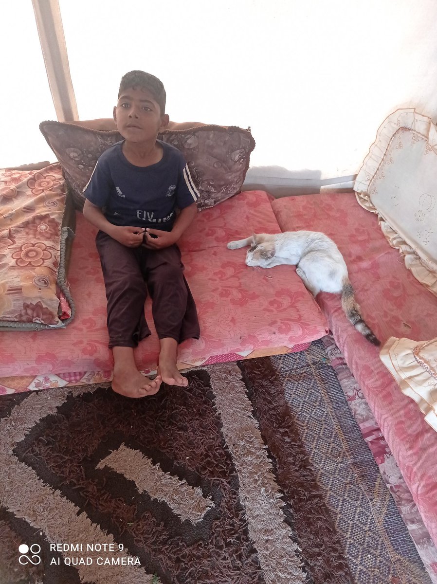GazaIbn51701's tweet image. I hope you can help me and my hungry little cat. I hope you can give me and my children a helping hand. Support me, even if it is just a little.
chuffed.org/project/137395…