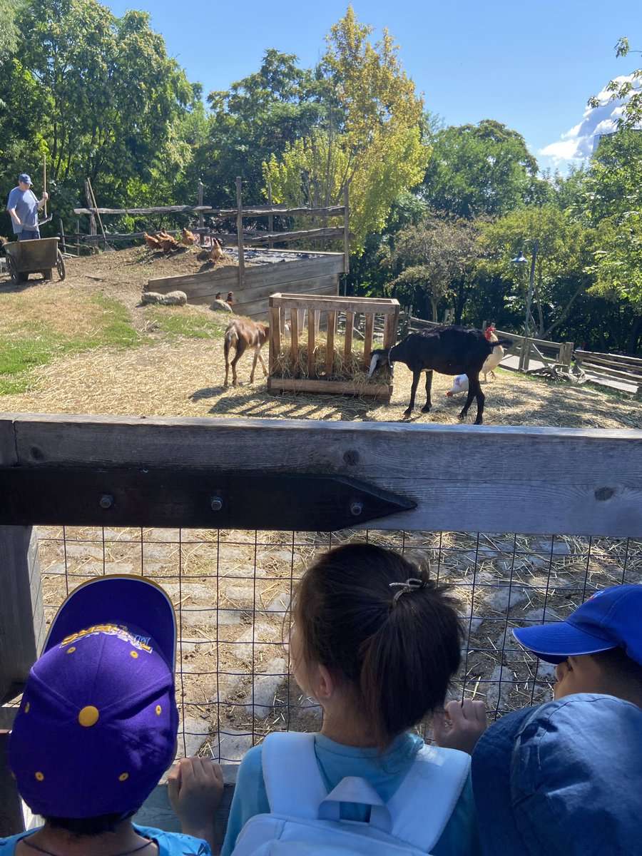 Kristyann So (@kristyannso) on Twitter photo Thank you <a href="/AFLToronto/">The Angel Foundation</a> for sponsoring our trip to Riverdale Farm! π <a href="/TCDSB/">Toronto Catholic District School Board</a> <a href="/TCDSBSummerLrn/">TCDSB Summer Learning</a> <a href="/KerrEteach/">Kevin Kerr</a> <a href="/MsCRoti/">Christina Roti</a> <a href="/BrendaSevillano/">Brenda Sevillano</a> Thank you <a href="/AFLToronto/">The Angel Foundation</a> for sponsoring our trip to Riverdale Farm! π <a href="/TCDSB/">Toronto Catholic District School Board</a> <a href="/TCDSBSummerLrn/">TCDSB Summer Learning</a> <a href="/KerrEteach/">Kevin Kerr</a> <a href="/MsCRoti/">Christina Roti</a> <a href="/BrendaSevillano/">Brenda Sevillano</a>