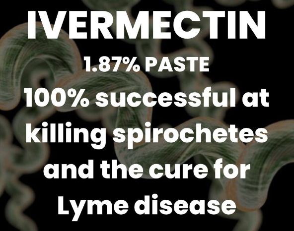 RED_IN_PA's tweet image. Be on the lookout for fake ivermectin!
If your tube has a measuring/dosage stick with NO notches in them it's fake. FYI