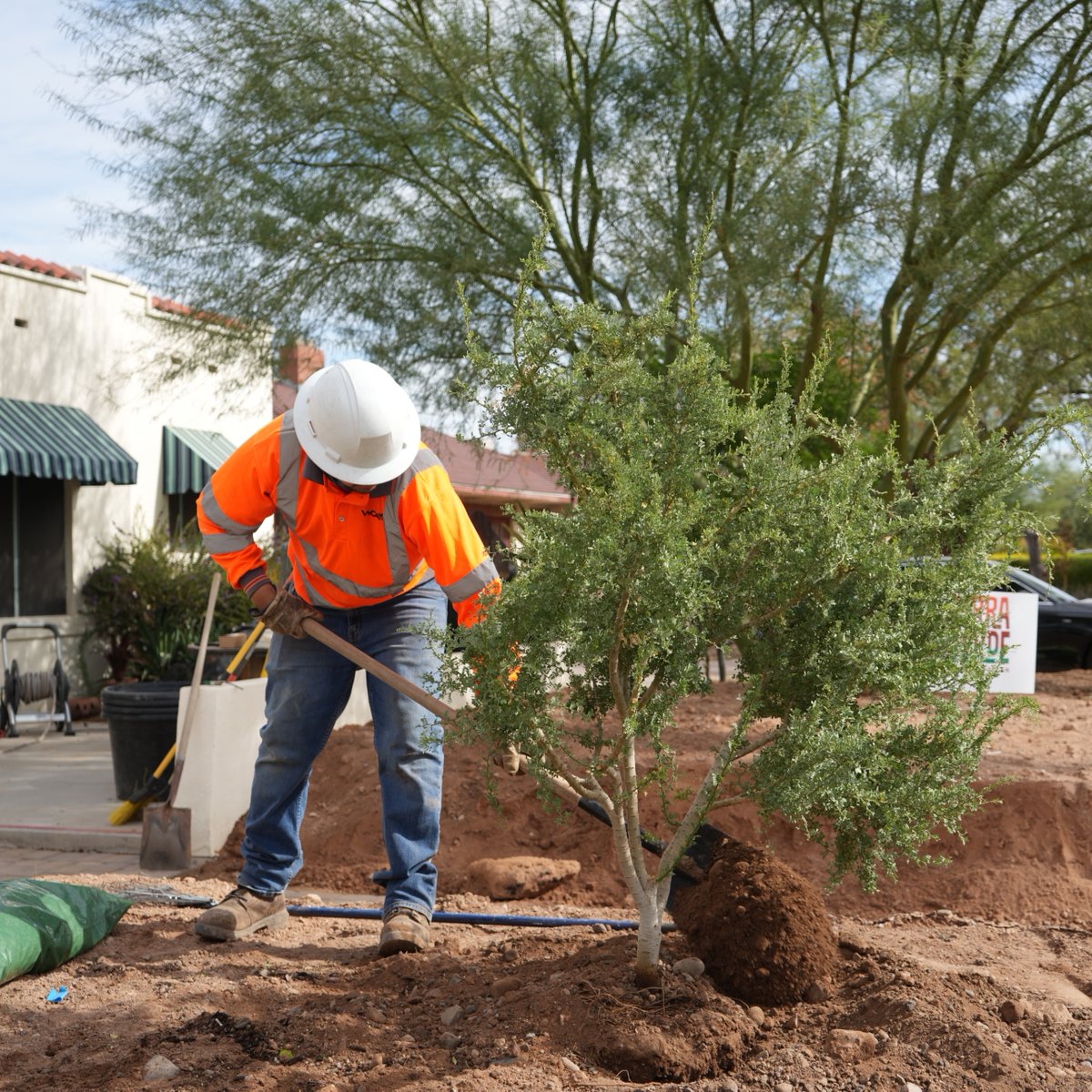 MayorGallego's tweet image. Apply now for @HeatReadyPHX&apos;s Community Canopy Grant! 🌳

Eligible homes and small businesses can get free trees, professional planting, and everything you need to take care of them.

Learn more: bit.ly/4lHmW5d