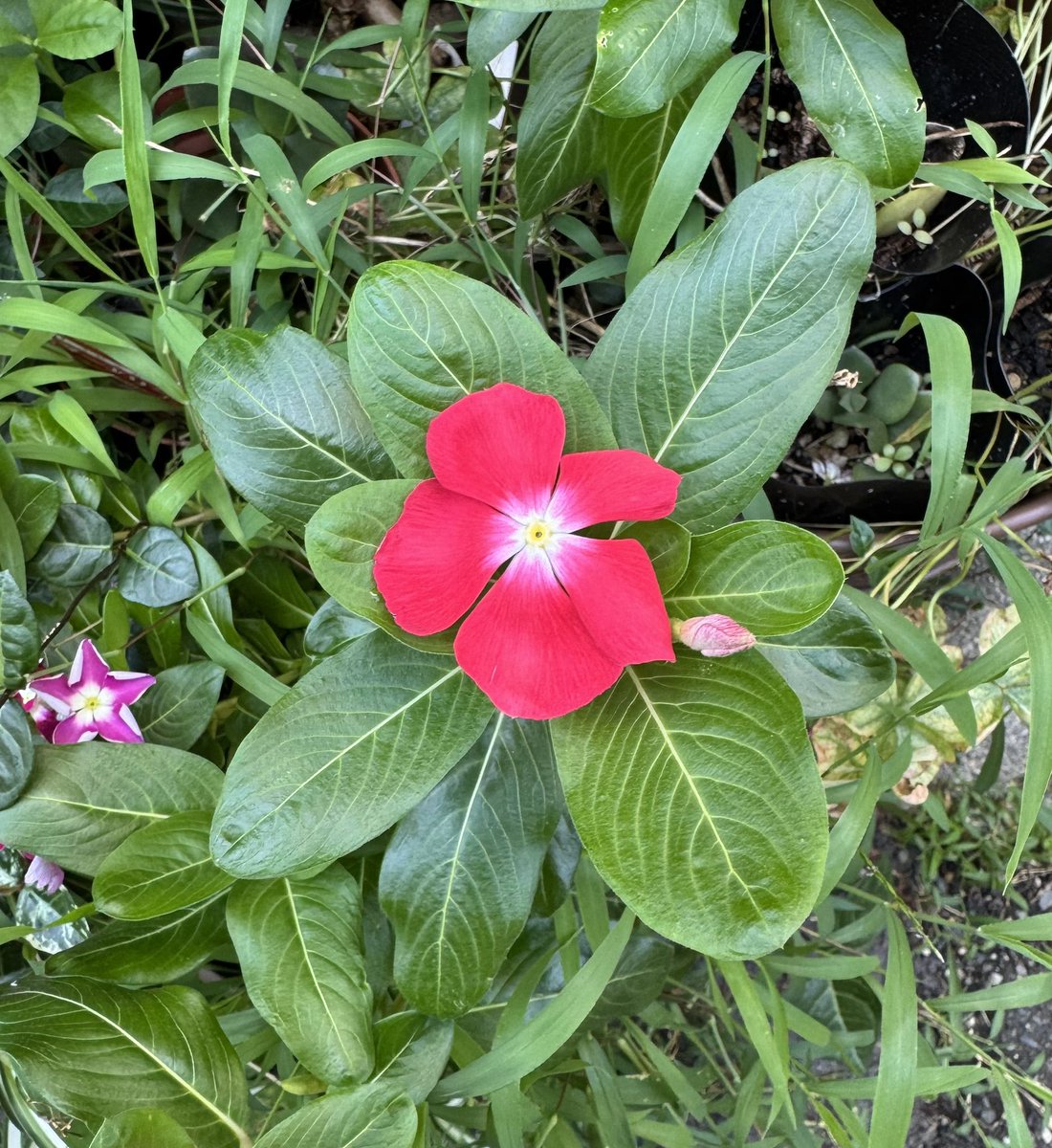 kenji821max's tweet image. おはようございます🌻

7月23日(水)

熱中症にお気をつけて
良い1日をお元気にお過ごし下さい🍉