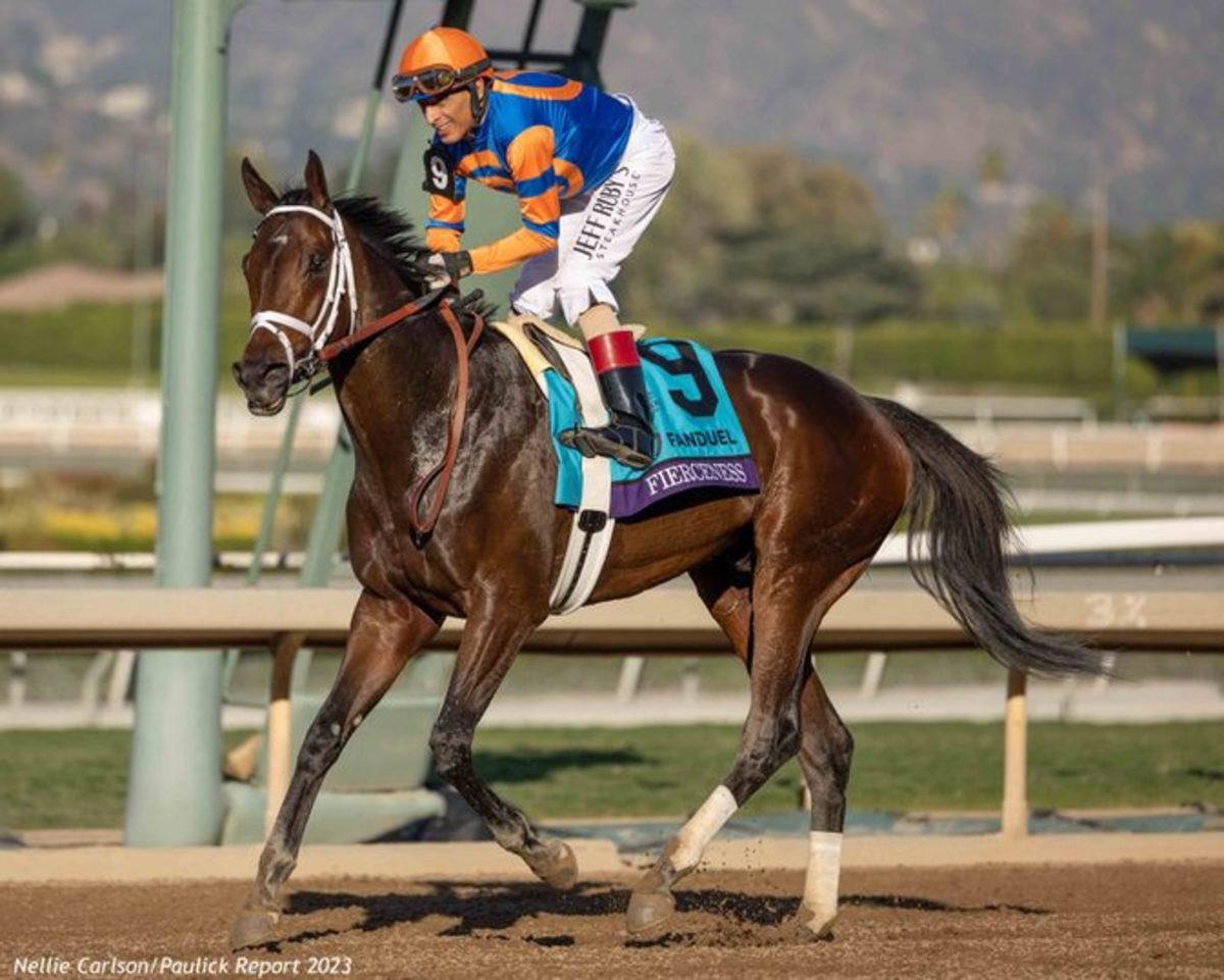 تشير السجلات المبدئية
🇺🇸🏆🇺🇸

لتسجيل سباق Breeders' Cup Classic
هذا العام 2025 حيث تنذر بمواجهة ساخنة
بتواجد أصحاب الثلاث المراكز الأولى العام الماضي 
Sierra Leone
Forever Young
Fierceness

ضد نجوم الكنتاكي داربي و البريكنيس هذا العام
sovereignty
Journalism