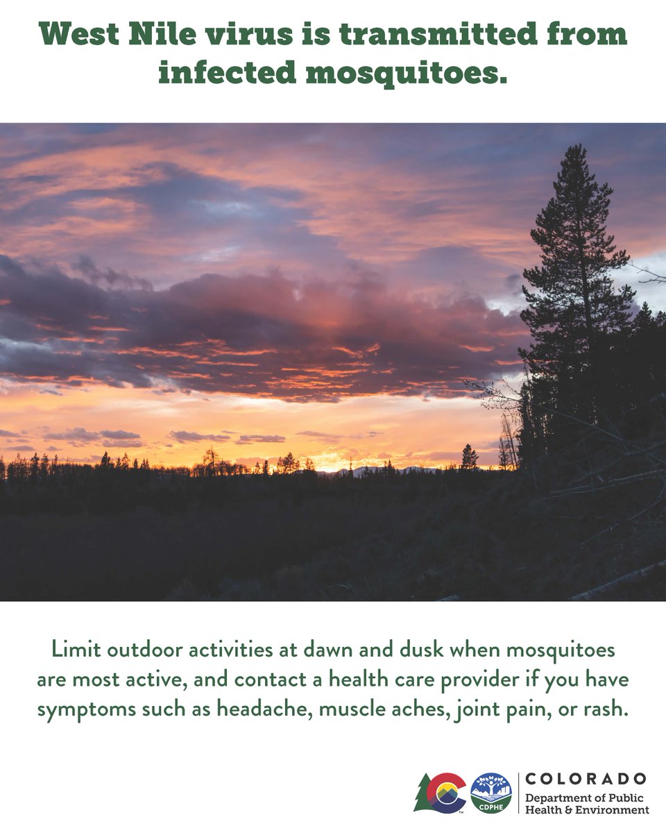 CDPHE's tweet image. Colorado has confirmed the first human cases of West Nile virus this year. Mosquitoes carrying the virus have been identified in Adams, Boulder, Denver, Larimer, and Weld counties.
Learn more: cdphe.colorado.gov/press-release/…