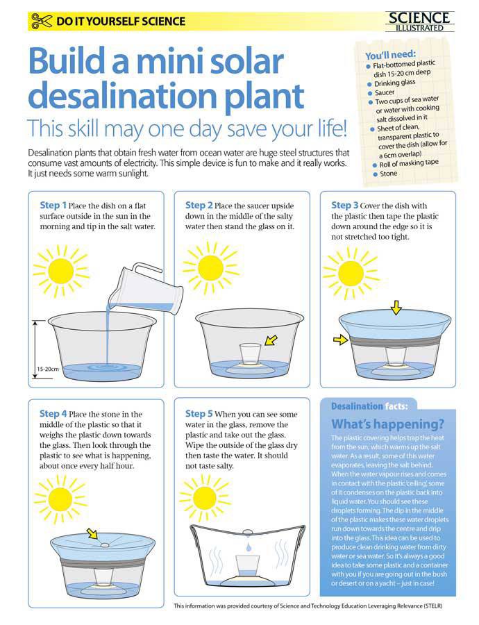 DaysofNoahGen6's tweet image. This is great information to have as a survival tip or for a great homeschool project!