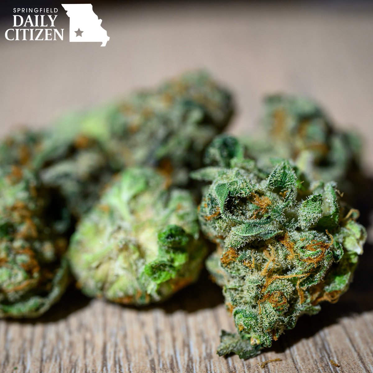 sgfcitizen's tweet image. FREE TO ALL READERS: Cities and counties are not allowed to stack sales taxes on marijuana products, the Missouri Supreme Court ruled 6-1 on Tuesday. Greene County is not one of the counties that has been imposing an additional 3% tax.
Read it: sgfcitizen.org/government/mis…