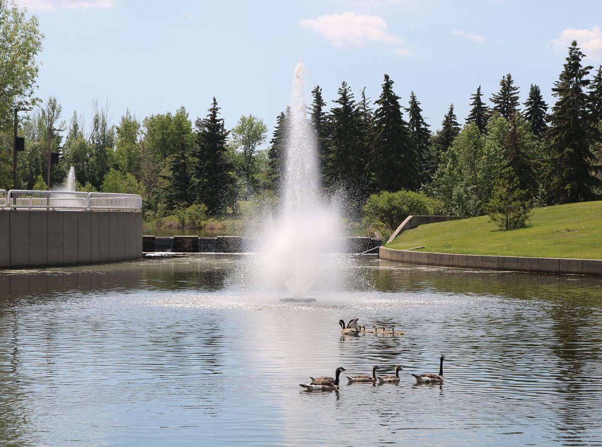 LeducRep's tweet image. This week’s ‘Leduc in a flash’ comes from Antonio Weiss and captures a busy day on the water at Alexandra Park.
Do you have a photo showing off the city? Send it to PWilliams@postmedia.com for your chance to be featured in the Rep.