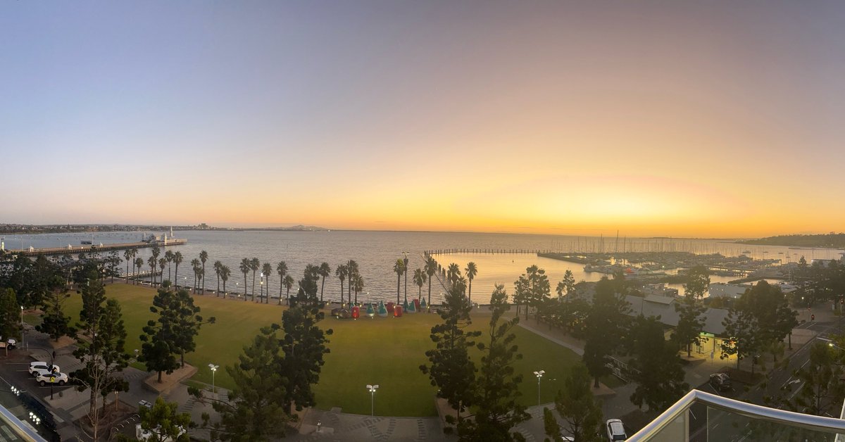 Tom Rymill tweet media