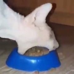 𝕱♱𝖳𝖧𝖤𝖱‍ ‍ ‍ ‍ ꩜𝖥 ‍ ‍ ‍ 𝖥͟𝖤͟𝖠͟𝖱. (@fcarhmself) on Twitter photo 