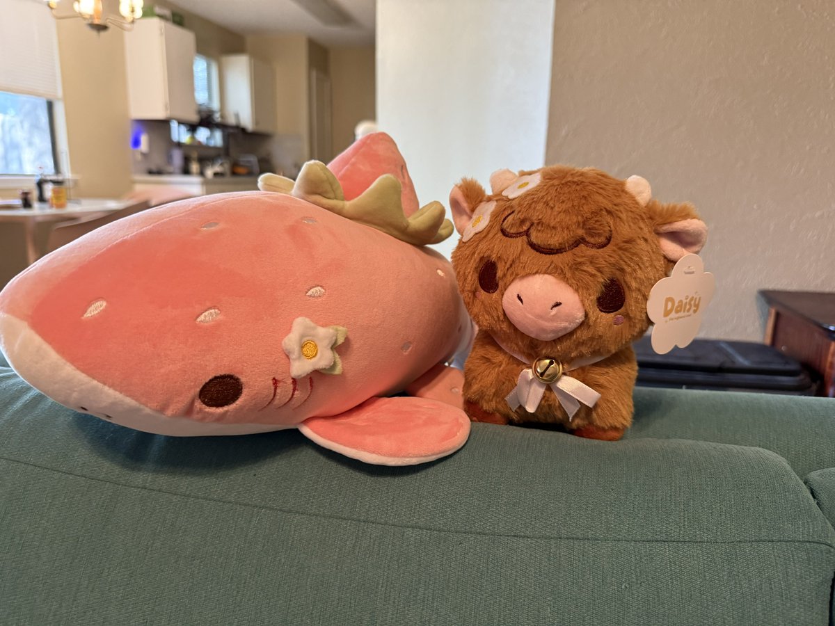 my <a href="/afternoonfika/">🍰Afternoon Fika🍰</a> plushies are finally here omg they are so soft and cute 🥹
