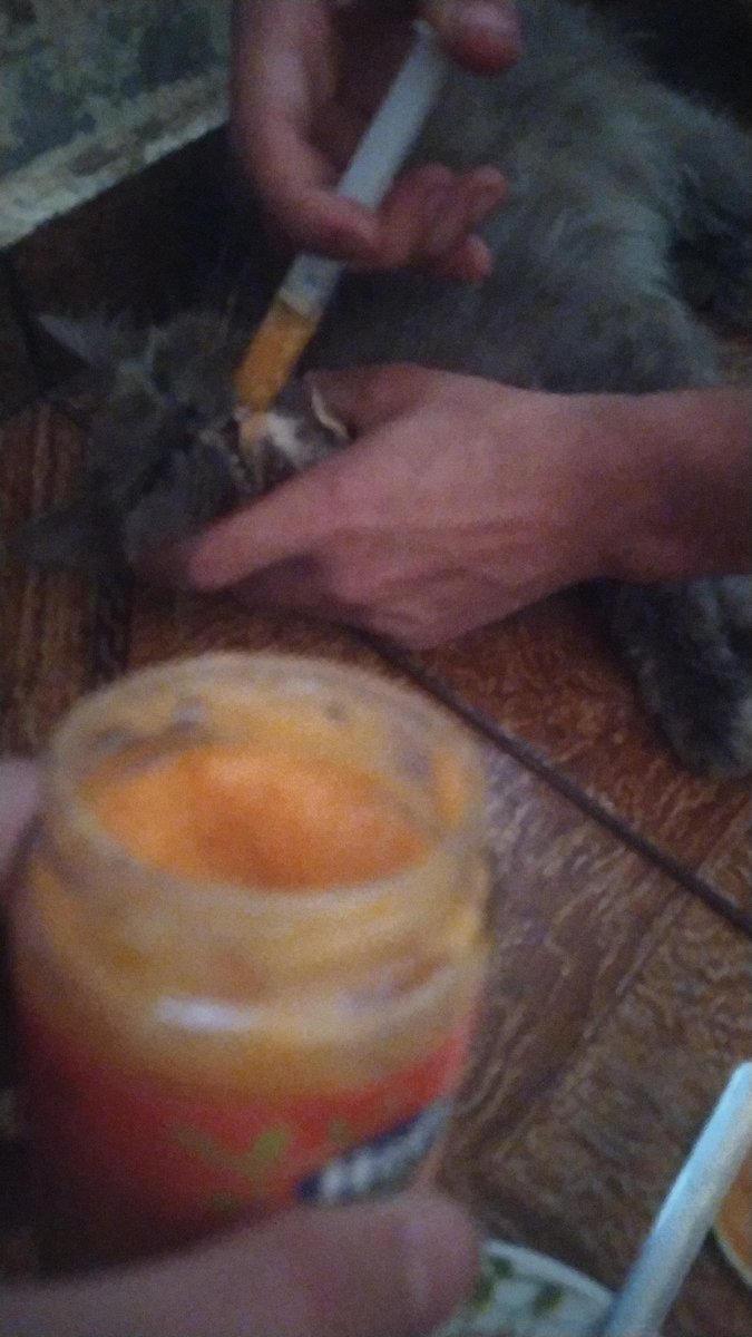 yousefmohmoud25's tweet image. I bought her medicine, but her fragile body can only recover with food.
She hasn't moved in hours... and I fear she'll never wake up. 😢
I've asked for help many times... I've begged for even a little food,
but donations haven't been enough, and now my hands are empty...…