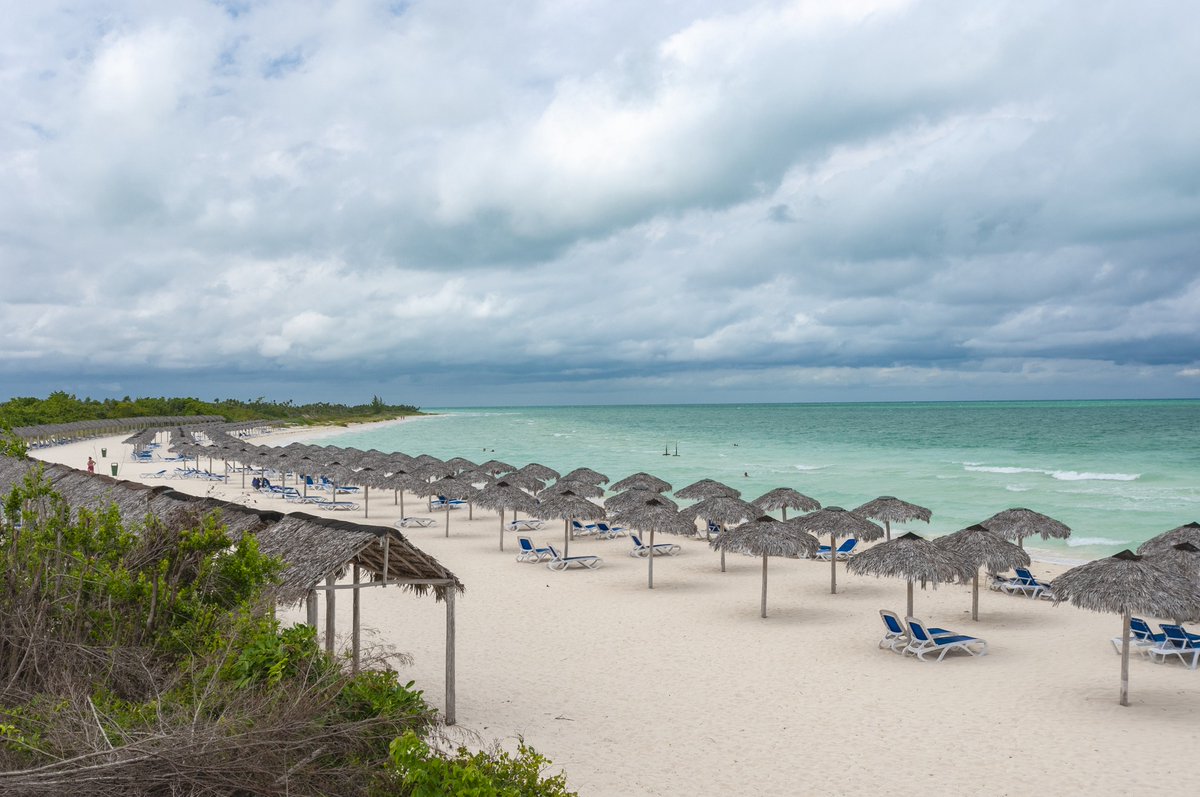 MinturCuba's tweet photo. 🌴🐚¡Explora la naturaleza en su máxima expresión! 🌳🐢 Jardines del Rey te invita a nadar, bucear y relajarte en sus impresionantes playas. 🌅🤿

#AventuraEnElCaribe #PlayasDeEnsueño #ViajarACuba #TurismoSostenible #Cuba #CubaUnica #CubaTravel https://t.co/LduDcv90pz