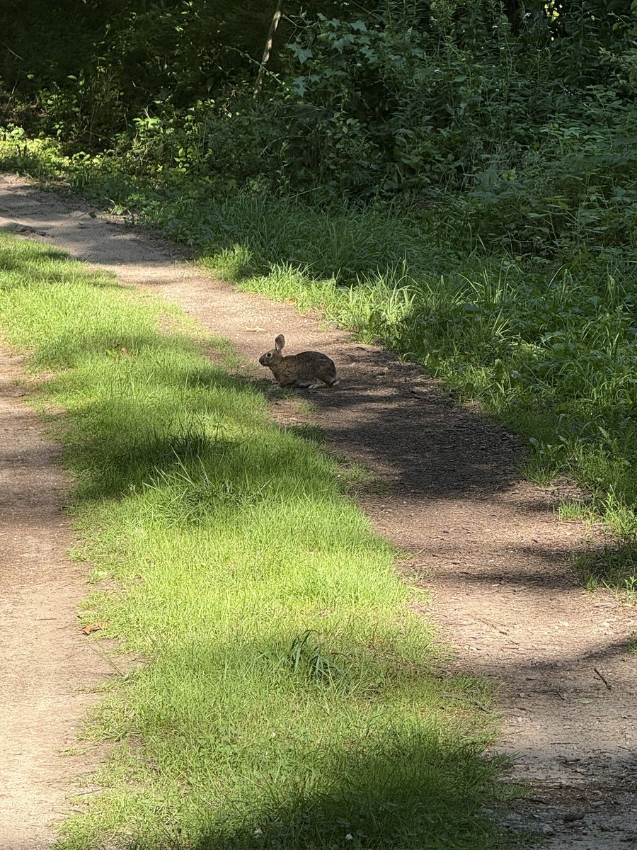 Gryph911's tweet image. Timeline cleanse. Ran into this little guy both today and yesterday in the same spot on the trail. It shall now be named “Stew Meat”