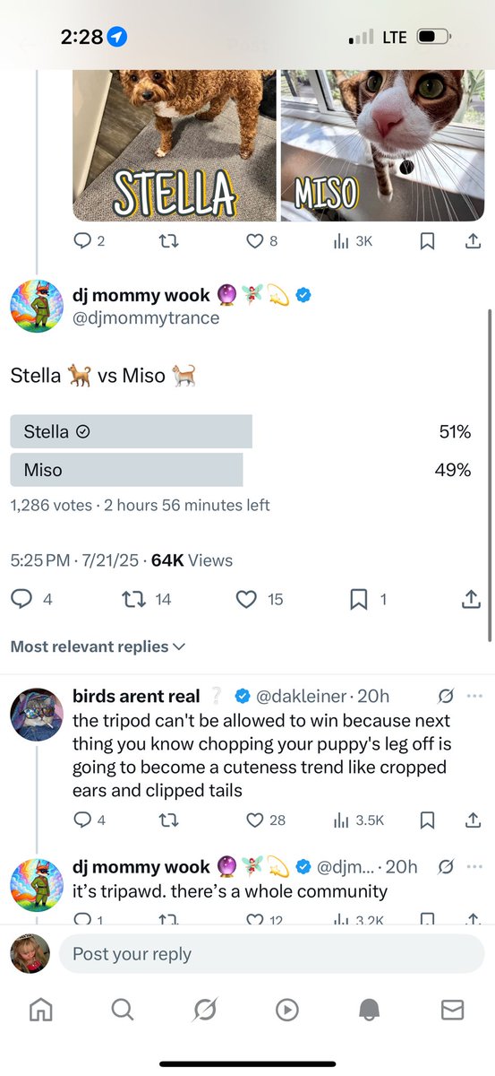 cigarettequeeen's tweet image. thank u to everyone who voted for stella
somehow 600 votes magically appeared for miso in less than 20 minutes when the amount of views only increased by 10k. stella will always be a winner in my book ❤️
